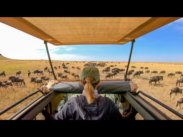 Private Safari 7 Days